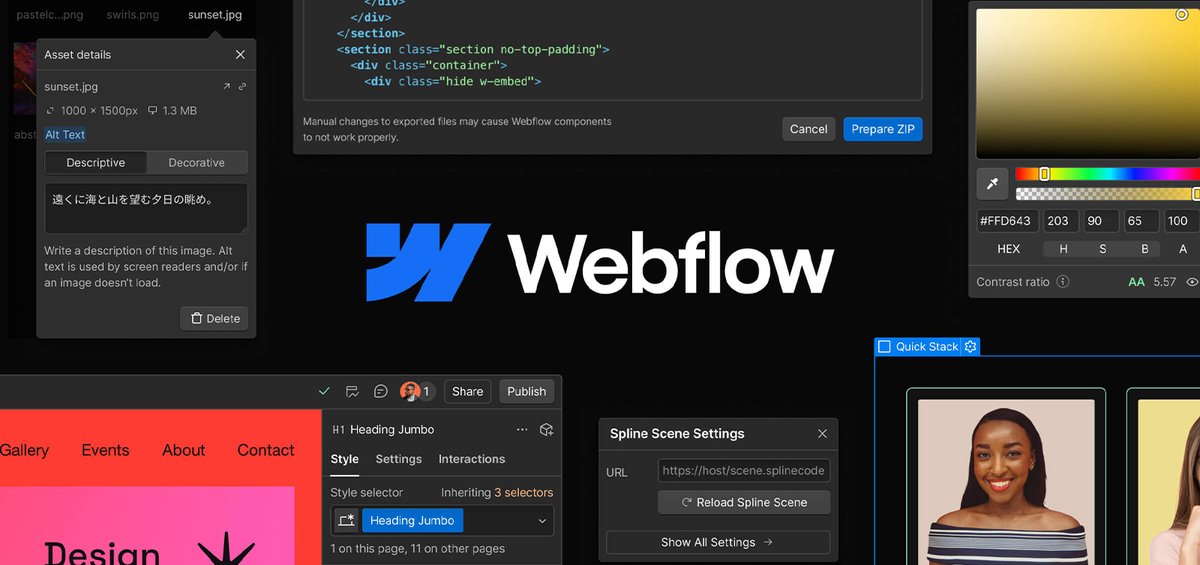 Web Development
