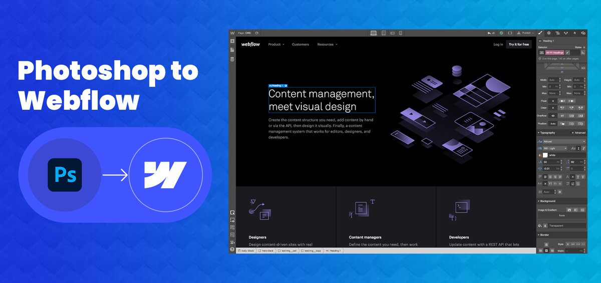 Web Development